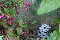 DSC 3935