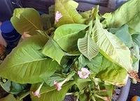 IMG-20220917-WA0000