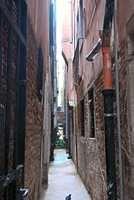DSC 4606