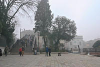 DSC 4676