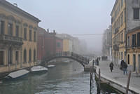 DSC 4739