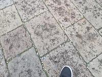 20240217 120837