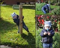 BotanikGarden4