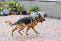 DSC 6270