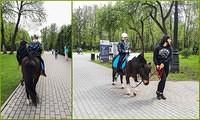 Moscow1