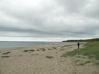 Wexford, Rosslare