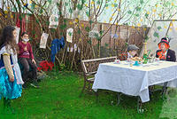 DSC 0073-1-1