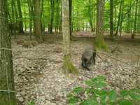 IMG-20240515-WA0023