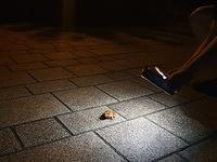 IMG-20240517-WA0056