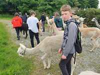 IMG-20220613-WA0015