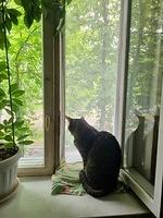 20240617 151810 - Copy
