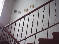 IMG 0004