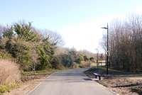 DSC 0825-1
