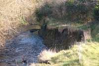 DSC 0830-1