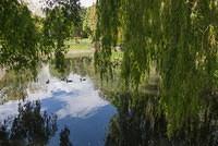 DSC 0259