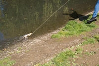 DSC 0279