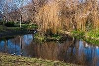 DSC 7002