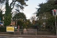 DSC 7036