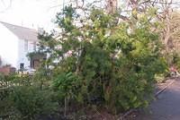 DSC 7042