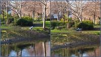 Poddle-river-Mount Argus-002