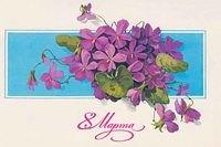 8-march-spring-21-1980