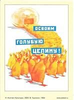 Image (61)