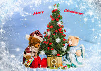 crist.card20