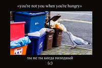 hungry