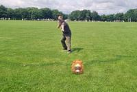 IMG 2023-07-13-11442864