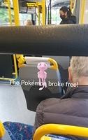 Screenshot 20201201-140110 Pokmon GO