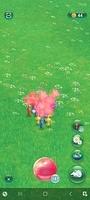 Screenshot 20230510 111608 Pikmin Bloom