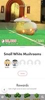 Screenshot 20230510 155743 Pikmin Bloom