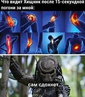 Funny pictures