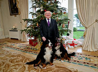 PRES HIGGINS X MAS MESSAGE MAX-1 750 550 s c1 c t