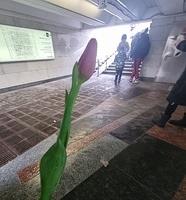 Moscow 23