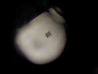 20190419 150751