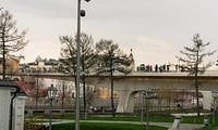 Untitled Panorama11