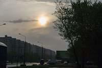 DSC 4393