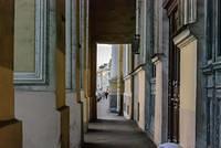 DSC 4951