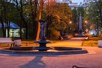 DSC 5009