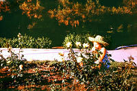 anapa.color-16