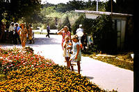 anapa.color-21