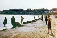 anapa.color-29