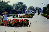 anapa.color-31
