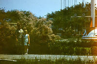 anapa.color-34