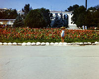 anapa.color-35
