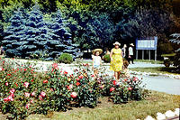 anapa.color-38