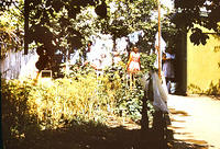 anapa.color-39