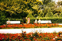 anapa.color-4