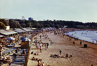 anapa.color-44